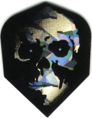 Skull in the Shadows Dart Flights