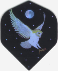 White Owl Dart Flights