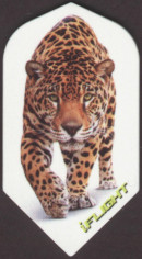 Stalking Leopard Slim Dart Flights
