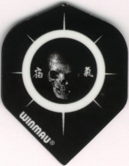 Skull with Japanese Characters Dart Flights