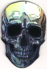 Black Eyed Skull Cut Dart Flights