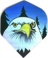 Eagle With Pine Trees Dart Flights
