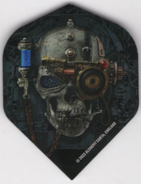 The Steam Punk Experiment Dart Flights