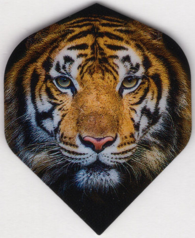 TIGER Dart Flights