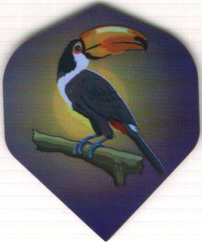 TOUCAN Dart Flights