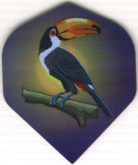 TOUCAN Dart Flights
