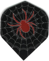 Dart Flights spider in web